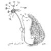 Illustration du petit hérisson du livre 2 - le Jardin secret