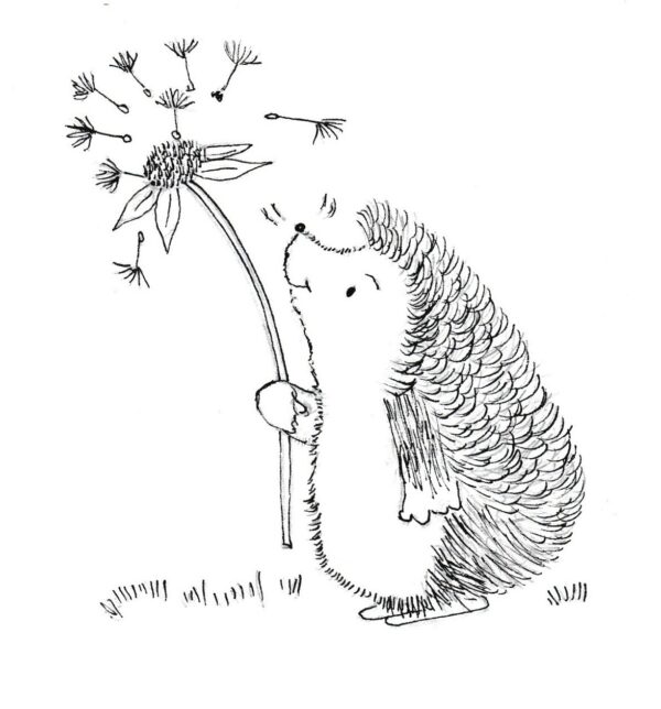 Illustration du petit hérisson du livre 2 - le Jardin secret