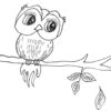 Dessin d'un hibou mignon sur une branche