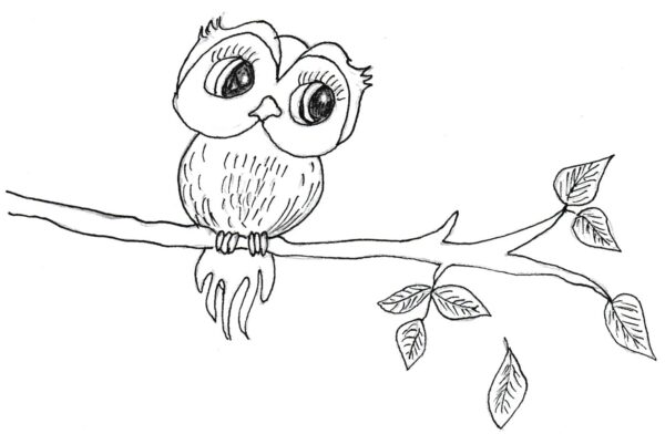 Dessin d'un hibou mignon sur une branche